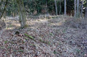 Hradní návrší od SV směrem k budově, ze které se zachovaly základové zdi (© Jan Švejkar, 02/2007)