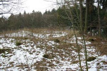 Dřel - celkový pohled od SZ (© Puffin Puffin 2004)