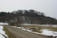 Dřel