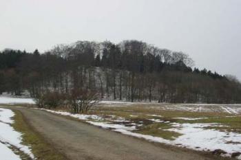 Dřel - hradní kopec (© Puffin Puffin 2004)