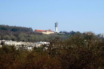 Spiritka z košířské Skalky ( © Milan Caha 04/2009)