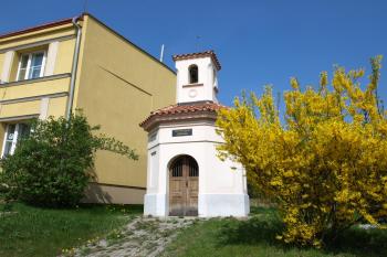  ( © Milan Caha 04/2009)