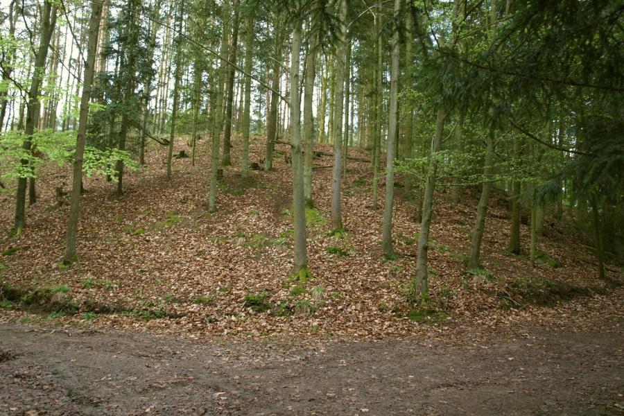 Voltýřov