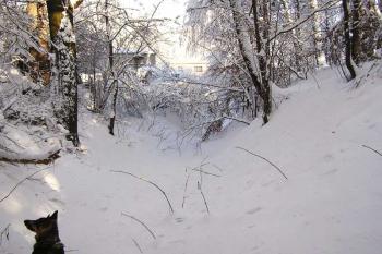 patrný průběh severního příkopu (jádro vpravo) ( © Jan P. Štěpánek 01/2006)