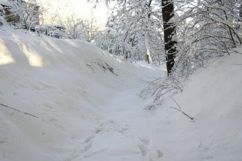 patrný průběh severní části příkopu - pohled od západu (tvrziště vpravo) ( © Jan P. Štěpánek 01/2006)
