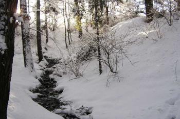 pohled od východu do jižní části příkopu (tvrziště vpravo) ( © Jan P. Štěpánek 01/2006)