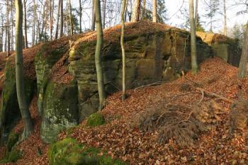 Celkový pohled přes čelní příkop od jihovýchodu ( © Filip Matoušek 11/2008)