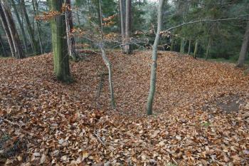 Čtvercové zahloubení (podvalí) po věžovité stavbě ( © Filip Matoušek 11/2008)
