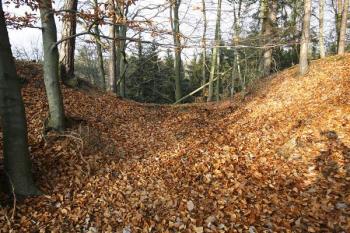 Druhý příkop rozdělující plochu ostrožny  ( © Filip Matoušek 11/2008)