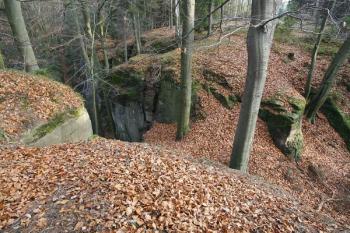 Čelní příkop z prostoru předhradí (  © Filip Matoušek 11/2008)