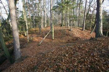 Předhradí v pohledu z jádra přes druhý příkop ( © Filip Matoušek 11/2008)