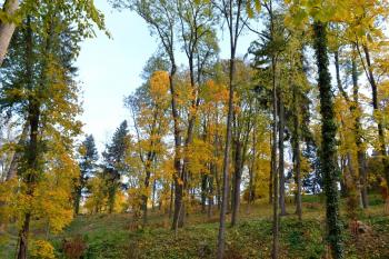 podzimní park od rybníka (© Daniel Šmidrkal, 10/2015)