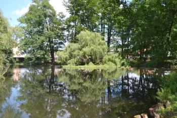 Zámecký rybník (© Daniel Šmidrkal, 07/2015)