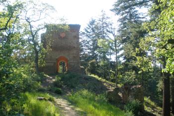  (© Jiří Suchomel, 05/2009)