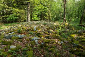  ( © Milan Caha 05/2009)