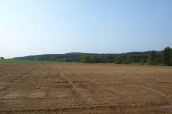 pohled na hradištní vrch po cestě z Čimelic ( © Milan Caha 05/2009)
