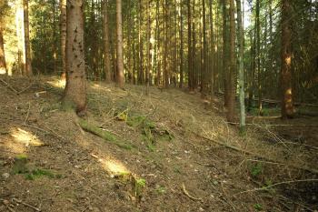 val a příkop na severní straně ( © Milan Caha 05/2009)