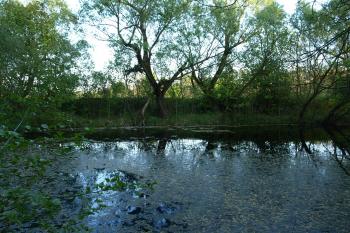 vnější val nad mokřinou ( © Milan Caha 05/2009)