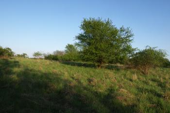 akropole nad údolím Labe ( © Milan Caha 05/2009)