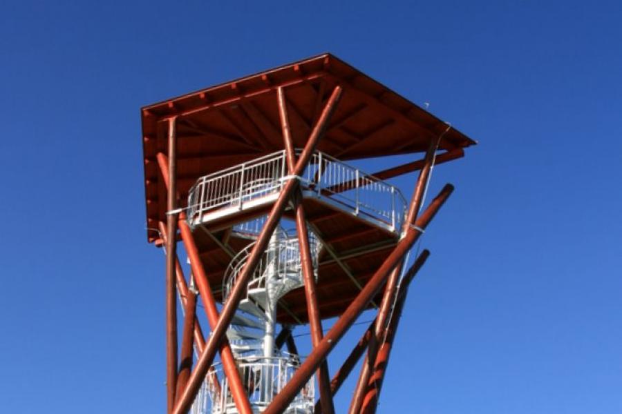 Slunečná