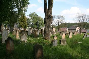 Pohled ze středu hřbitova k jihu ( © Ivan Grisa 05/2009)
