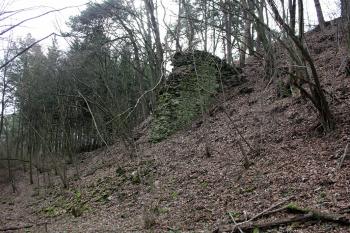  (© Luděk Vláčil, 15.2.2014)