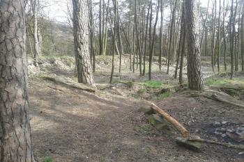 Na jádře hradu ( © Ivo Rozehnal 04/2019)