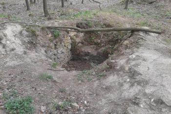 Odkryté části hradu ( © Ivo Rozehnal 04/2019)