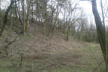 Obranná fáze hradu byla opravdu bídná a hradní kopec nepředstavoval žádnou překážku ( © Ivo Rozehnal 04/2019)