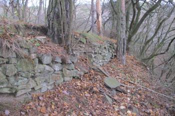 Vých. hradby předhradí ( © Dušan Dohňanský 12/2019)