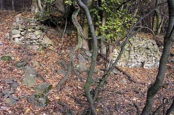 Hradba předhradí ( © Roman Řezáč 10/2003)