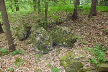 zřiícenina hradu Kozlov (© Vlastislav Mareček, 05/2016)