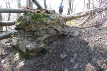  ( © Jiří Čížek 03/2007)