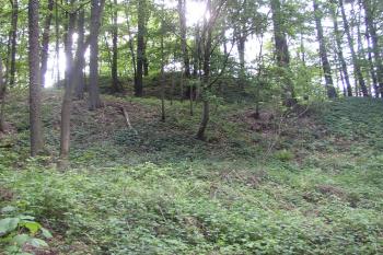 Celkový pohled na jádro hradu a hradní příkop s valem. (© Jan Šebek, 05/2009)