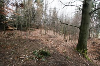 Plocha hradu a část okružního příkopu (© Petr Nožička  04/2022)