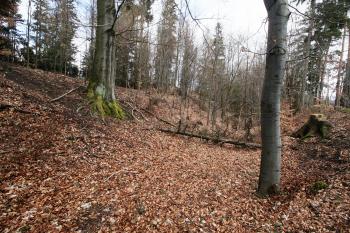 Okružní příkop (© Petr Nožička  04/2022)