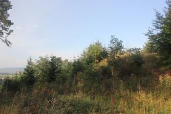 lokalita hradiště (© Luděk Vláčil 09/2015)