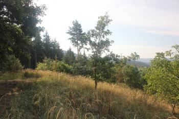  ( © Luděk Vláčil 09/2015)