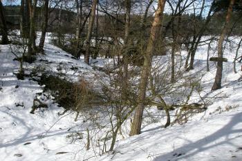 Severovýchodní část příkopu a valu (© Prudký Martin, 03/2013)
