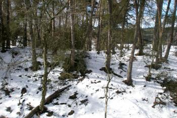 Tvrziště (© Prudký Martin, 03/2013)