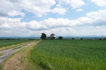 celkový pohled na areál větrného mlýna od severozápadu ( © Jan P. Štěpánek 05/2009)