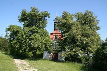Kaple od západu za památnými lipami ( © Ivan Grisa 05/2009)