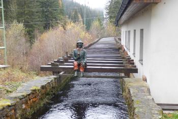  vodní elektrárna Čeňkova Pila  (© Dušan Zeman, 11/2018)