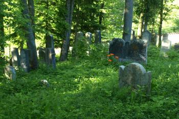  ( © Milan Caha 05/2009)
