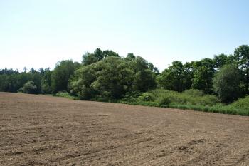 místo hřbitova - pohled od západu ( © Milan Caha 05/2009)