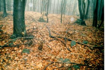 Val před příkopem a jádrem (© Prudký Martin, 3/2003)