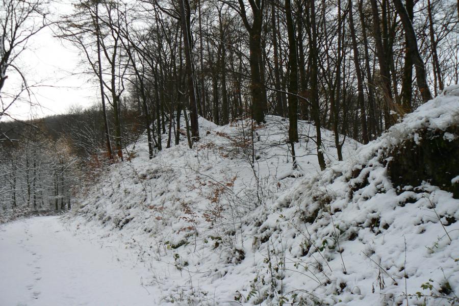 Velké Březno