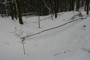  (© Prudký Martin, 12/2008)