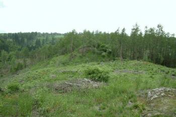Vzdálenější pohled na zříceninu od jihu, z místa předsunuté bašty (© Michal Špiřík 07/2005)