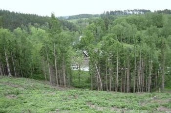 Pohled z hradu na blízký mlýn (© Michal Špiřík 07/2005)